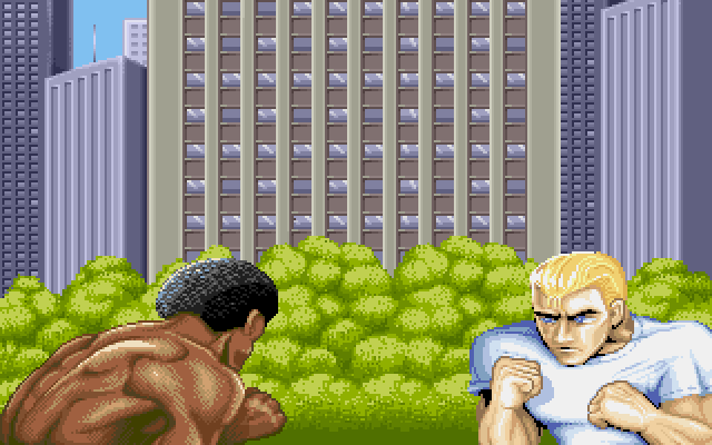 Street Fighter II gameplay screenshot